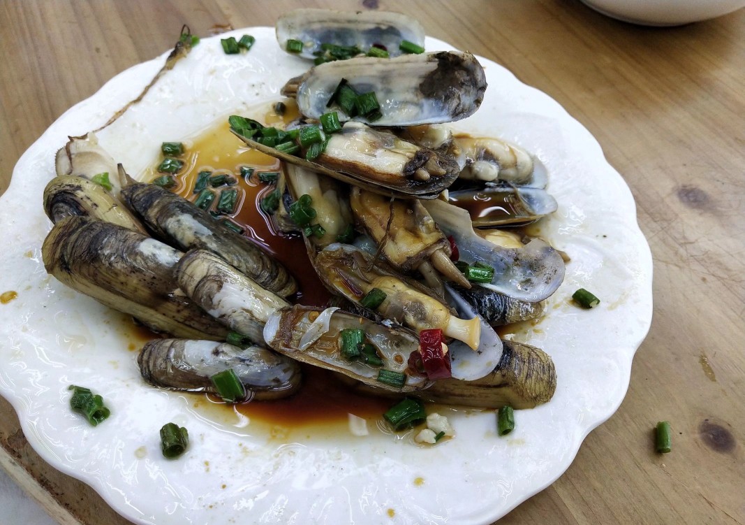 舟山旅游攻略,舟山朱家尖旅游攻略三天两晚住宿