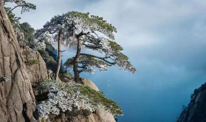 雾凇之美宛若仙境,连云港花果山雾凇美得像仙境