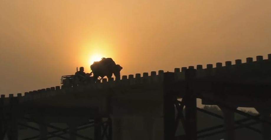 40岁老黄牛流泪帮主人养大9个子女,老牛替老头养育九个儿女