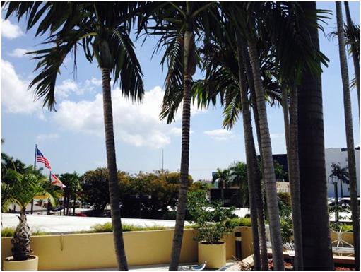 迈阿密海滩高级感泳装身材,经验心得分享篇