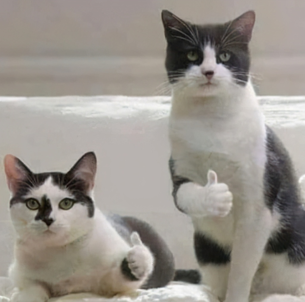 如何对一款游戏进行汉化,为什么现在游戏都追求汉化