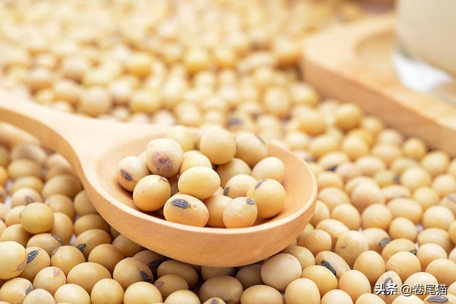 汤臣倍健有鸡蛋壳的蛋白粉,汤臣倍健蛋白粉和黄金搭档