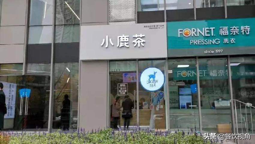 瑞幸小鹿茶前景,瑞幸小鹿茶优点和缺点