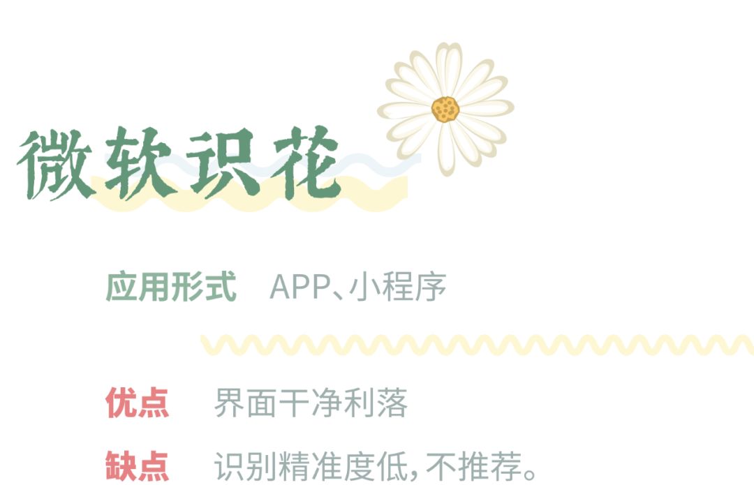 哪个识花软件最好用,识花app免费的哪个好