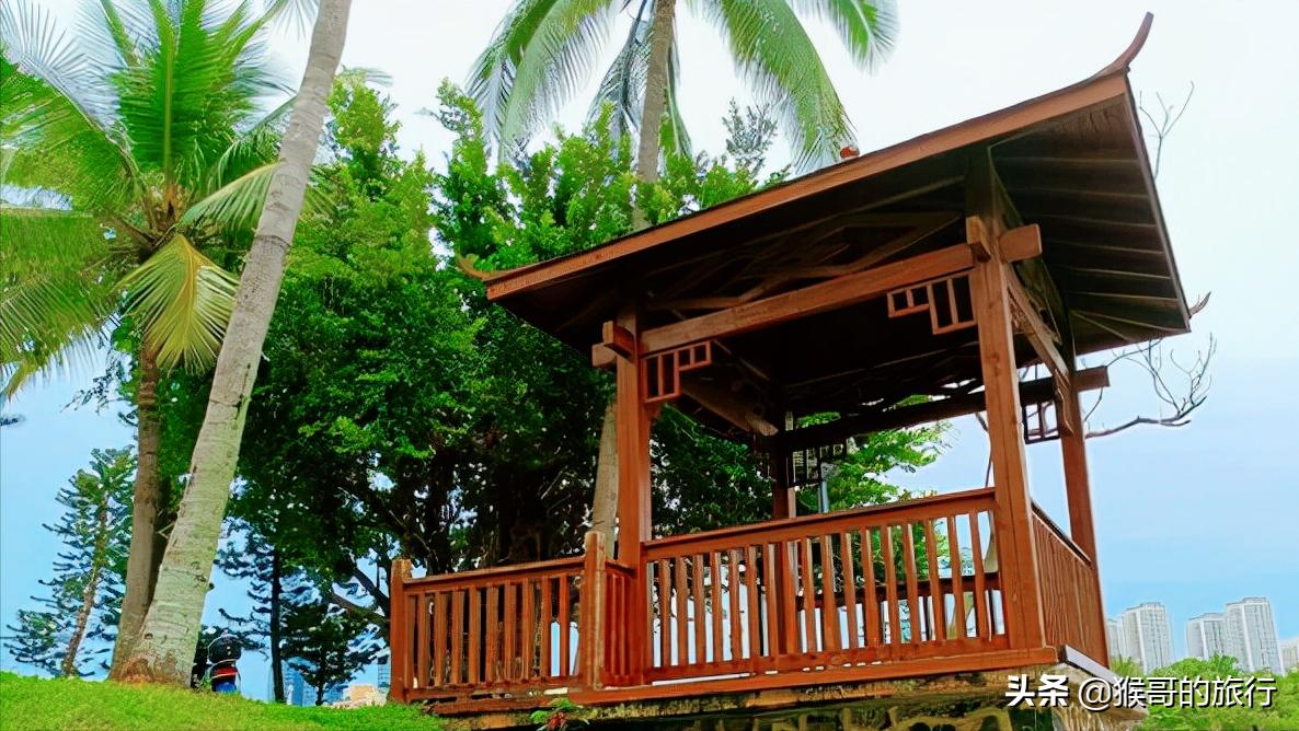 滨海森林公园,被遗忘的滨海新区