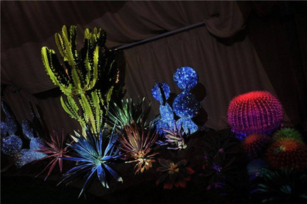 上海国际花卉展奉贤,上海国际花展预约