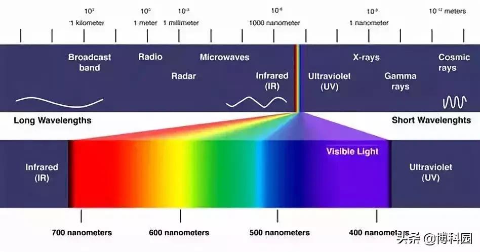 突破视觉极限！打一针就能看见红外线，中国科学家打造超能力鼠