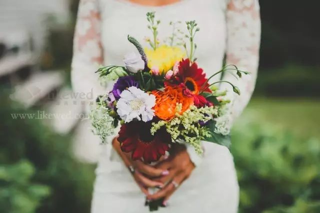 12属相婚配表大全,猪女最佳属相婚配表