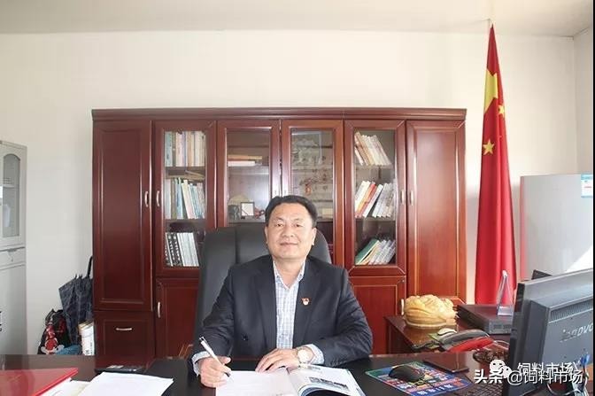 十大无抗饲料排名,绿色无抗饲料