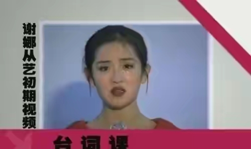 谢娜的情感史,谢娜感情经历