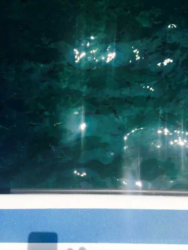 有生之年一定要再去一趟,泰国普吉岛值得去的地方