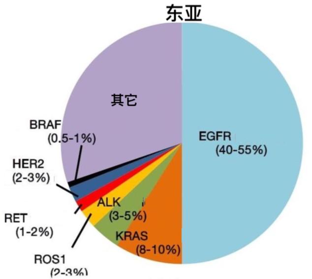 发现肺癌早期要不要做基因检测,磨玻璃型早期肺癌用做基因检测吗