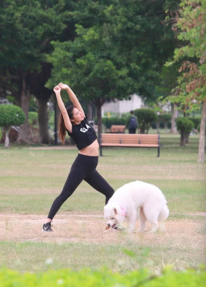 乐基儿怀孕新闻,乐基儿被曝怀孕5个月