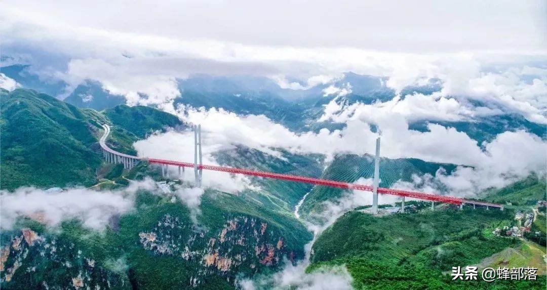 涔℃潙鎸叴铚滆渹鍙戝睍,铚滆渹鍔╁姏涔℃潙鎸叴