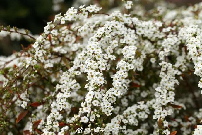所有女生!各大品牌的春季眼影盘来咯