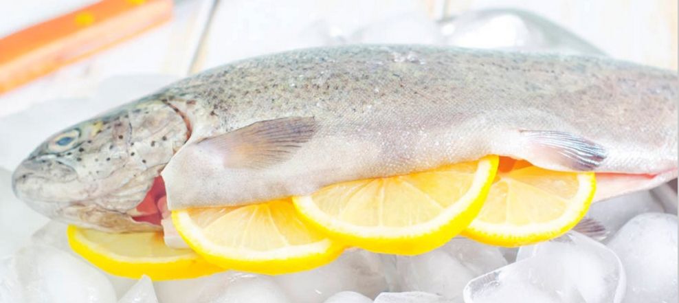 鱼儿食欲怎么样,鱼儿是怎么吃东西