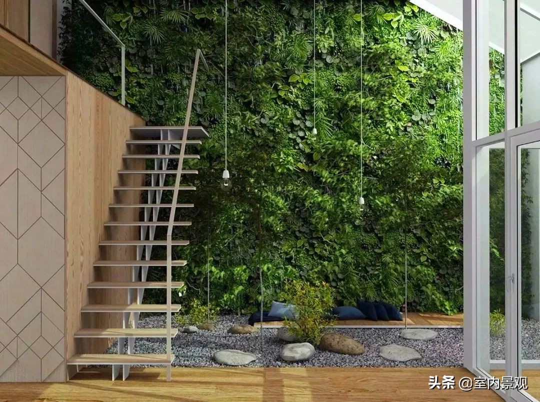 植物花园墙,植物墙与永生植物墙不同