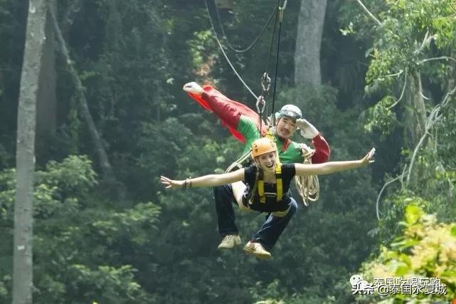 清迈清莱最值得游的景点,清迈旅游景点大全排名