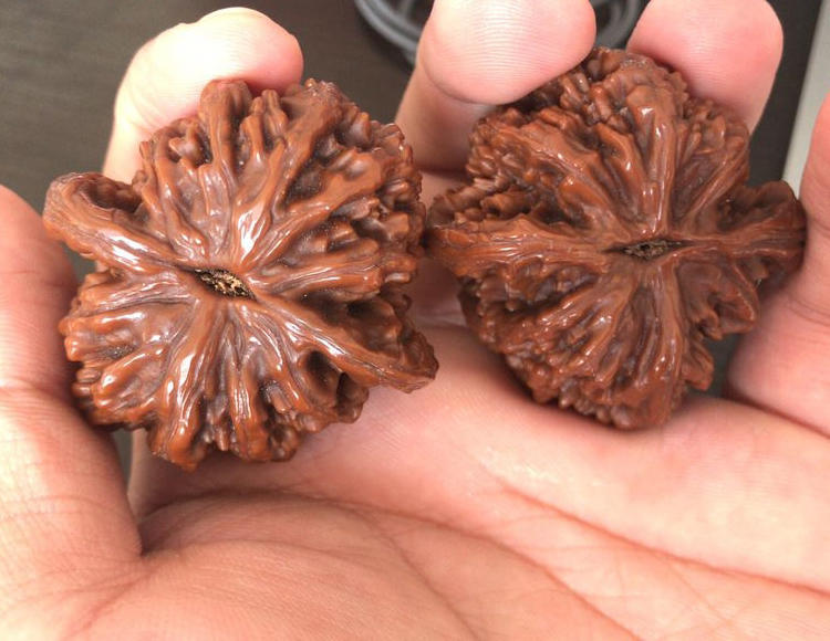 清理老核桃缝隙污垢,怎么清理老核桃缝隙青皮的污垢