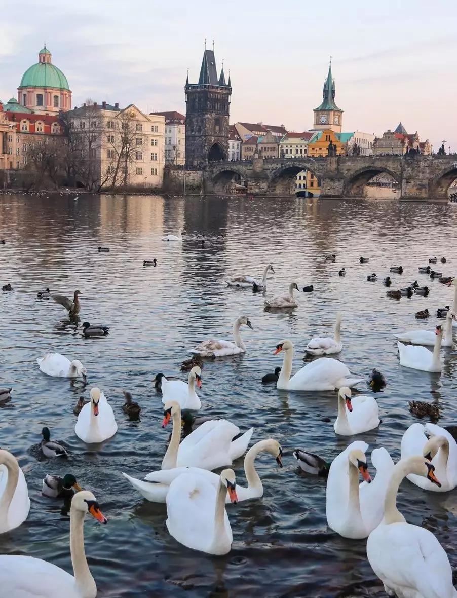 瑞士哪里有滑雪天堂,瑞士之雪