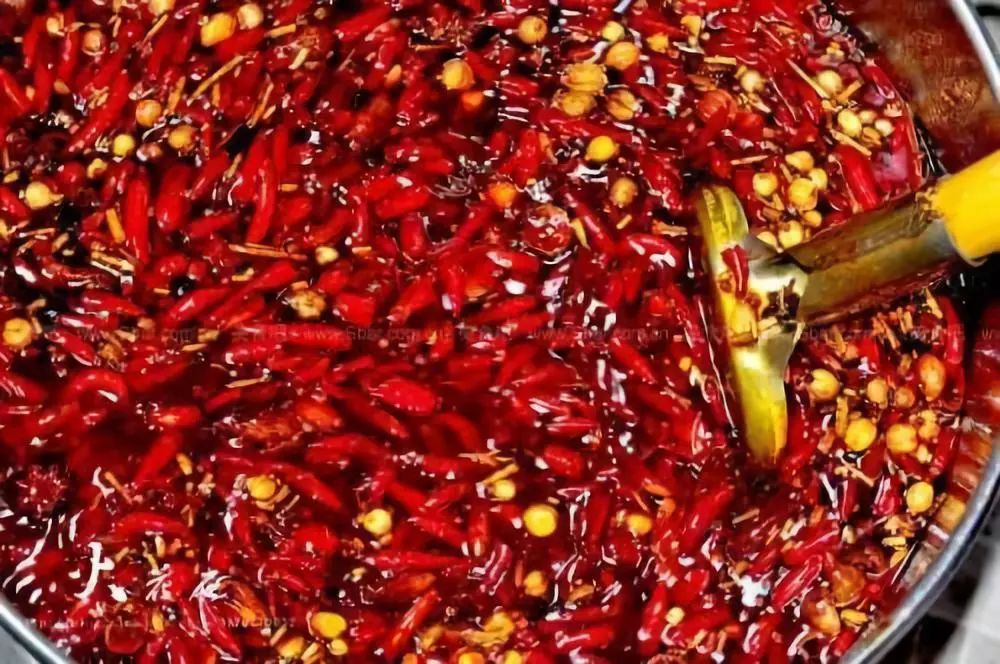 绝对低估的超级龙头上市公司,颐海国际海底捞深度分析