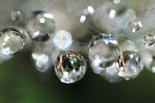 拍微距什么手机好,拍微距用什么镜头最好