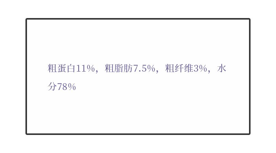 猫咪的主食罐推荐,k9猫咪主食罐头测评