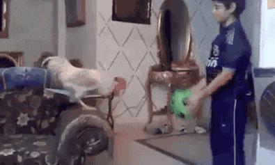 搞笑gif一看就是聪明人,搞笑gif趣图果然是亲生的笑死我了