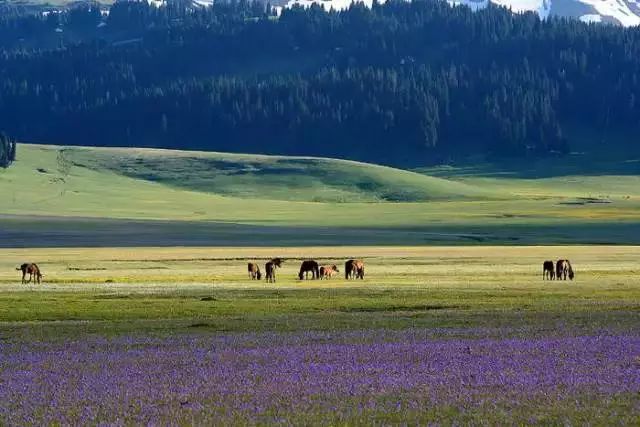 中国最美县城云南有几个,中国最美的100个地方云南