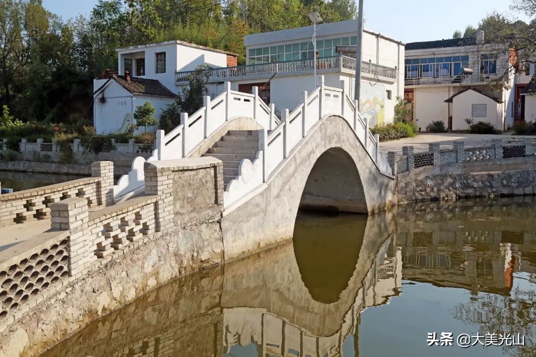 我和凉亭乡熊湾的故事——大爷•古树