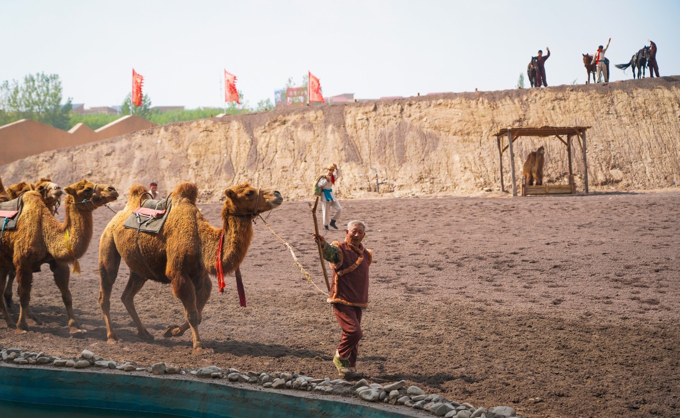 宁夏旅游打卡点,宁夏银川十大网红旅游必打卡
