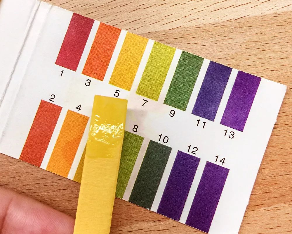 养金鱼鱼缸最佳过滤,普通鱼缸怎么养金鱼最简单方法