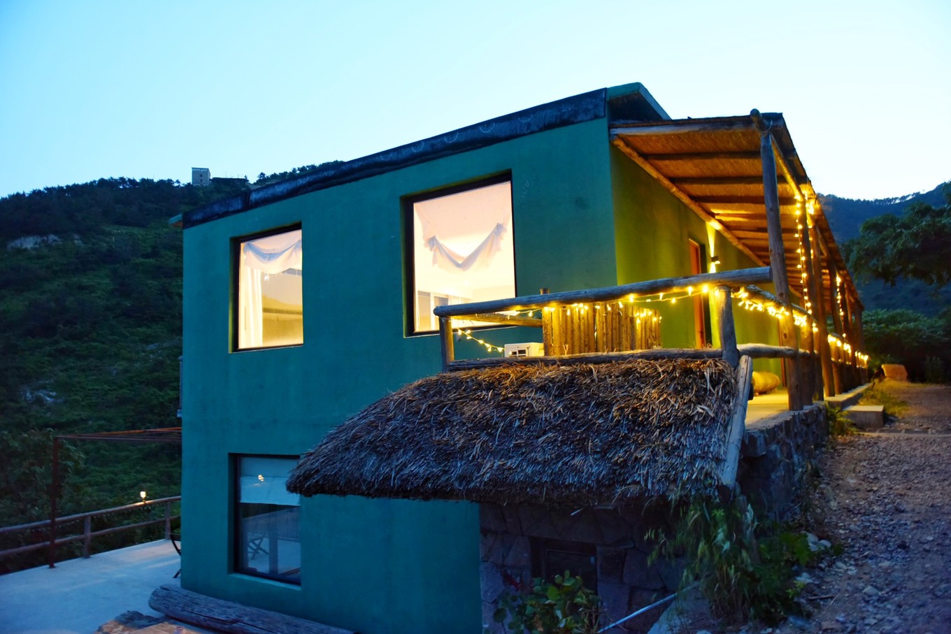 度假的袋鼠,青岛旅行的袋鼠