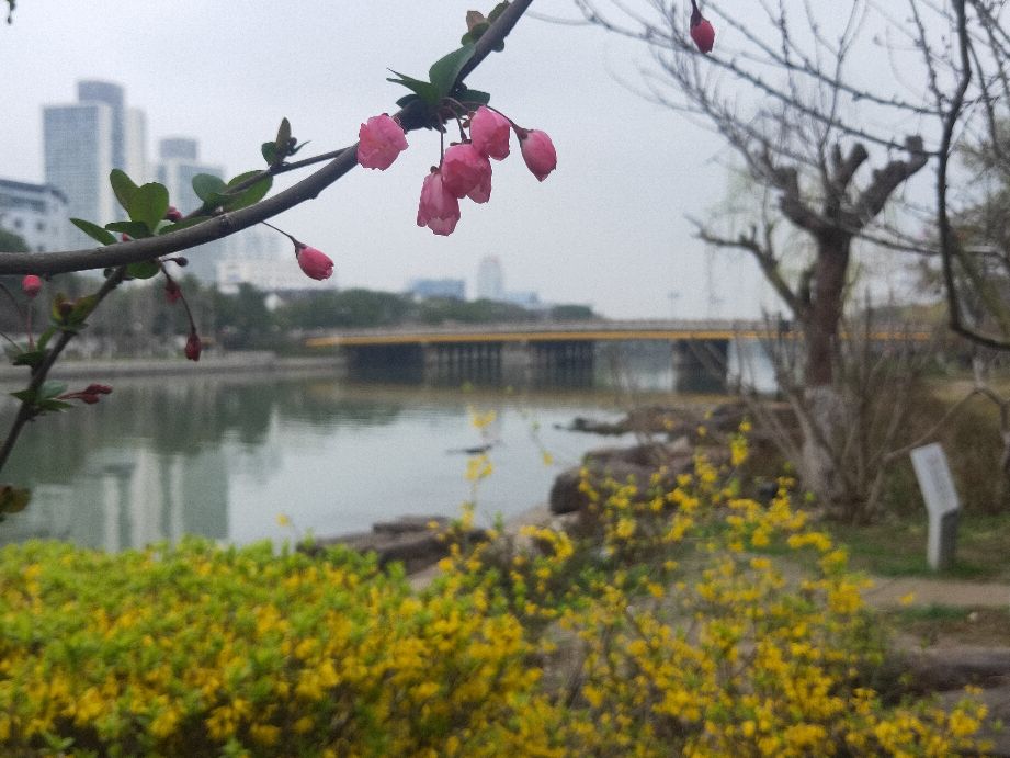 苏州现存最古老的城门,苏州古胥门介绍