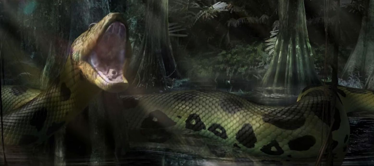 巨蛇恐怖视频真实,巨蛇的恐怖秘密