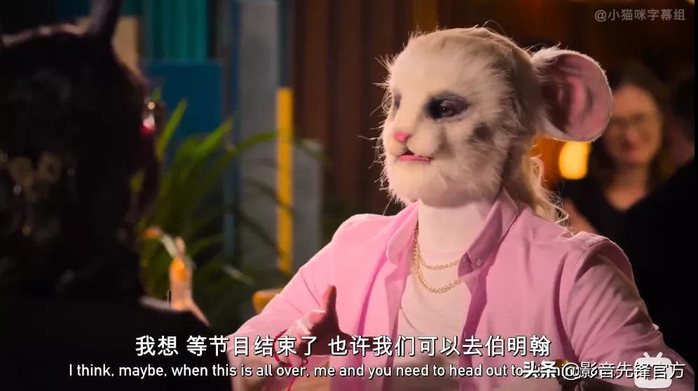 跨种族相亲,跨越种族相亲讲的什么