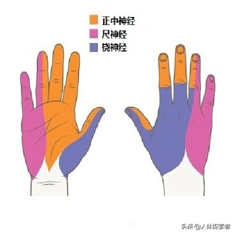 单纯的手指尖麻木是什么病兆,七种疾病早期症状