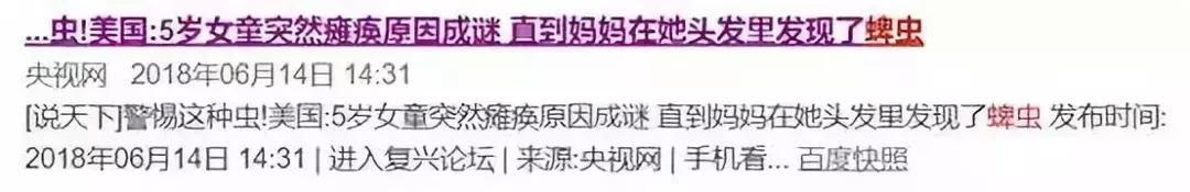 防虫保鲜,防虫保命小妙招