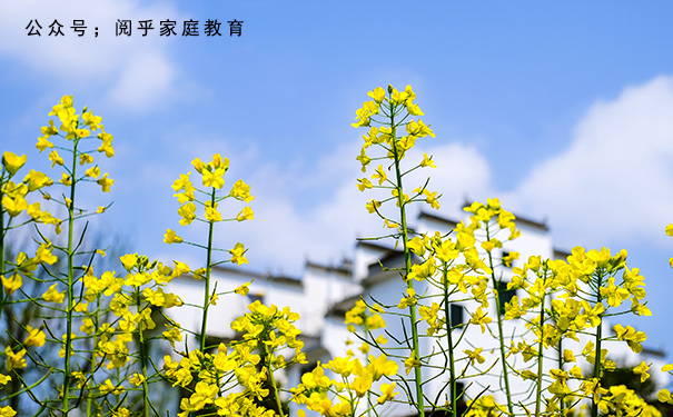 家庭教育最重大的方法论,阅乎家庭教育讲解