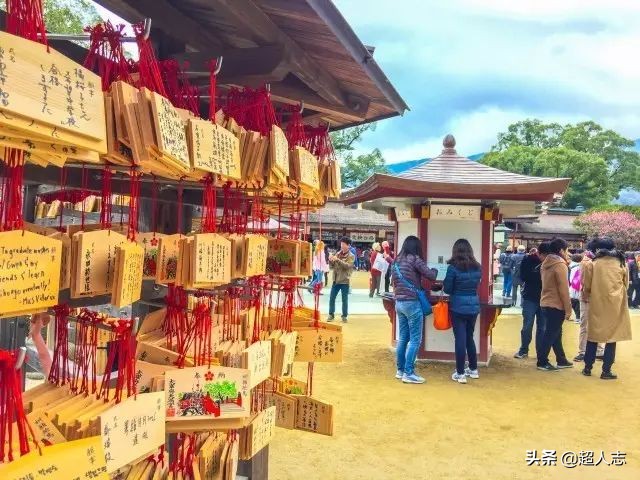 梦旅人｜999元５天日韩邮轮游，靠谱吗?