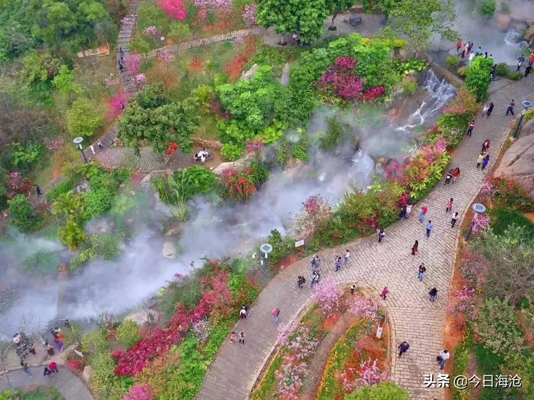 酒店团购厦门嵩屿码头,海沧嵩屿码头附近酒店