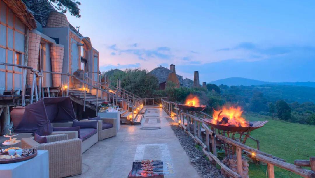 世间稀有的白色长颈鹿母子，在非洲被残忍猎杀，发现时只剩骨骼