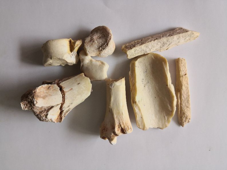 中药的起源发展英语,中药的起源和中药的发展