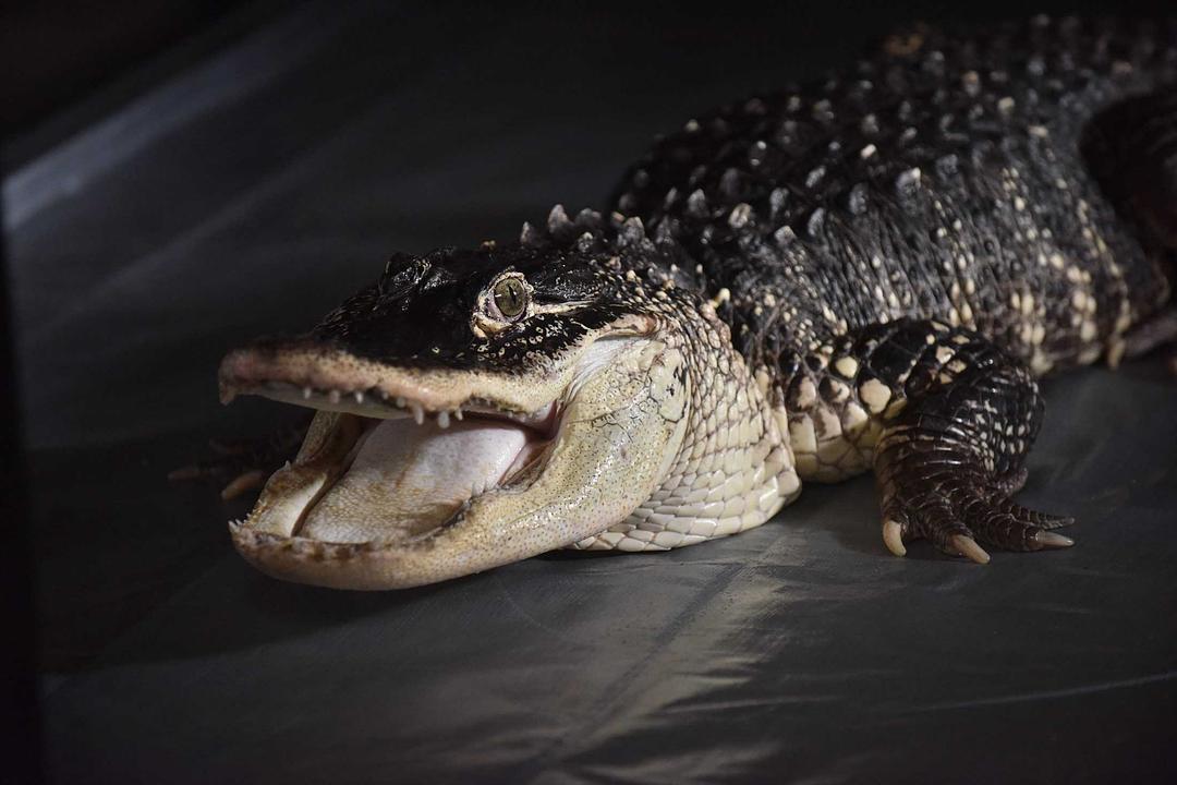 《轮到你了》大结局！我先聊聊场外信息