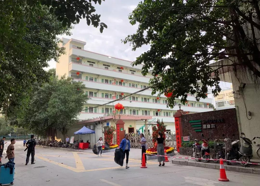 *子烟电**兴衰史：如烟称霸后倒闭，中小工厂血拼海外，而今卷土重来