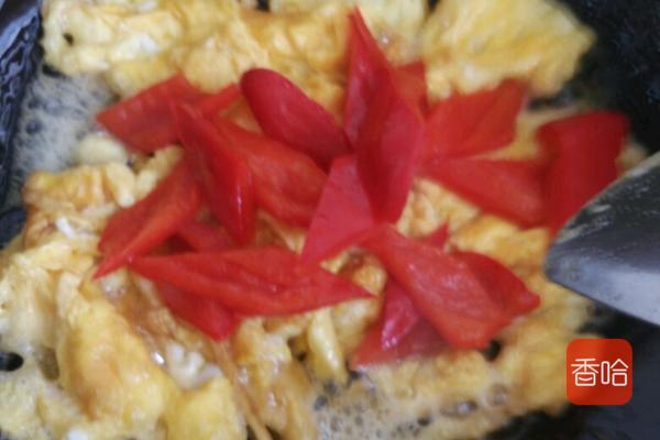 麻辣四季豆的家常做法,红烧麻辣四季豆五花肉