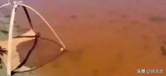 地下水养殖方法和注意事项,山泉水最好养殖方法