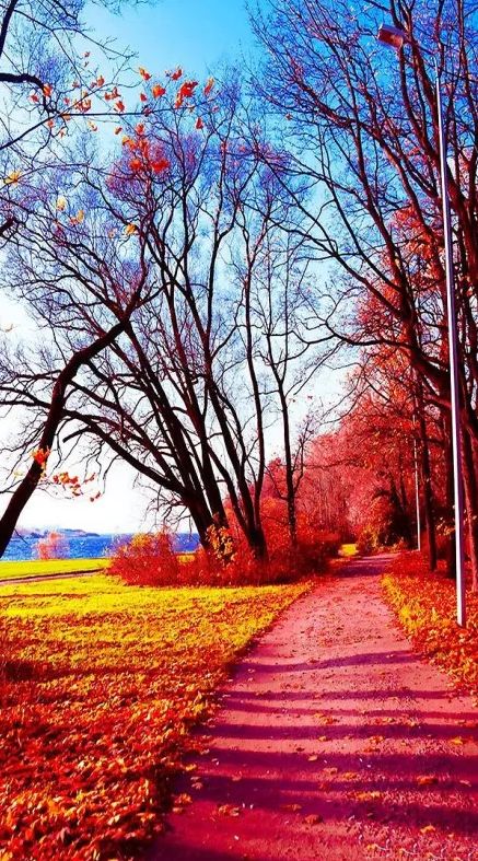 秋郊作诗词,秋意境优美古诗词