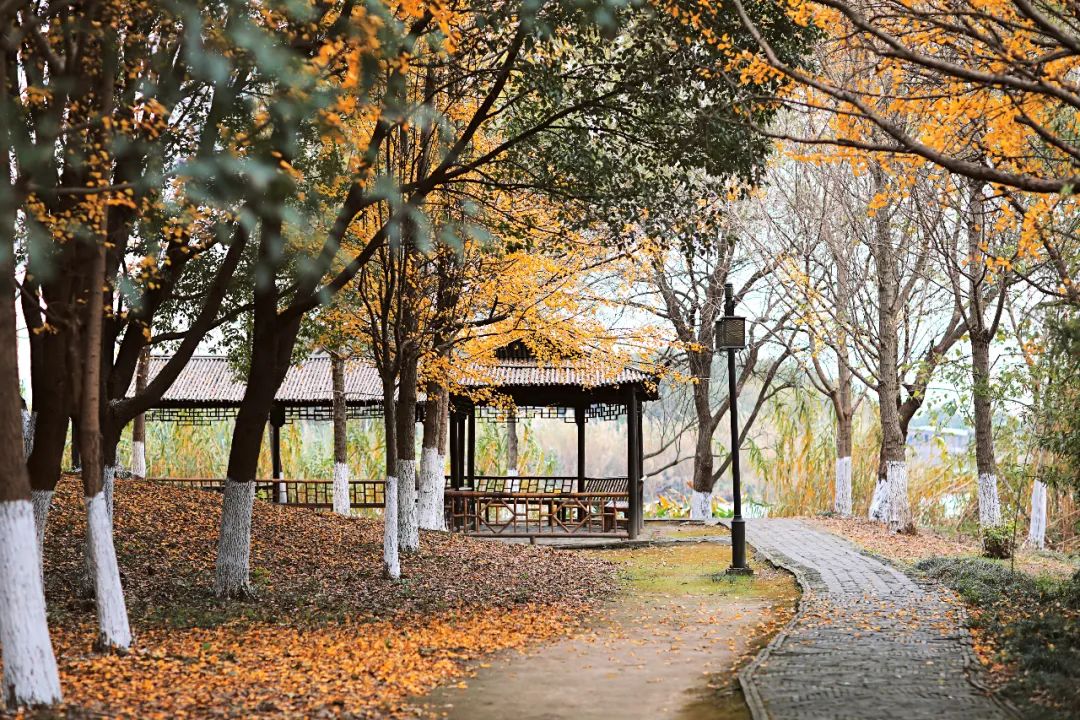 闃虫緞婀栨矙瀹舵禍鐖婇浮,涓轰簡澶ч椄锜规潵鍒伴槼婢勬箹