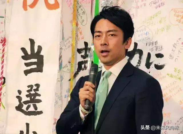 日本政坛五大家族,日本五大政治家族和德川家族